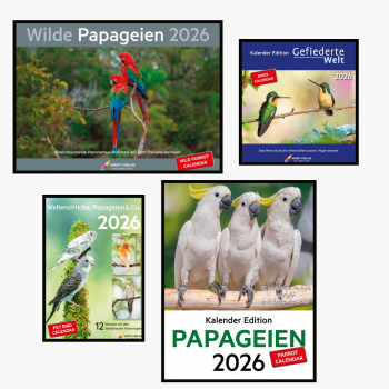 White Minimalist Poster Frame Mockup Instagram Post-2